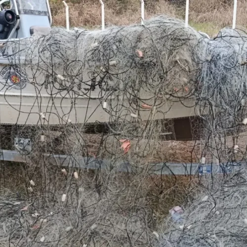 Polícia Ambiental retira 750 metros de redes de pesca irregulares em Presidente Epitácio