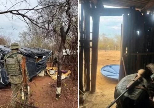 Polícia militar apreende armas e apetrechos de caça ilegal em uibaí
