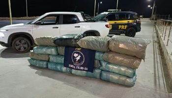 Polícia Rodoviária Federal intercepta 140 quilos de maconha na Br-324 em Salvador
