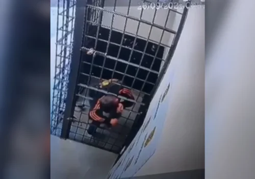 Preso escapa de delegacia em Santa Catarina ao atravessar grades de cela