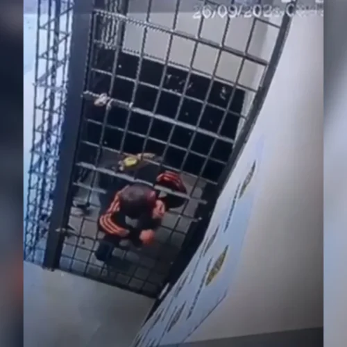 Preso escapa de delegacia em Santa Catarina ao atravessar grades de cela