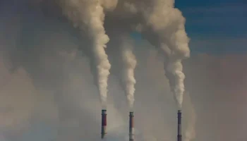 Queda no desmatamento faz Brasil registrar menor nível de emissões de gases em 8 anos em 2025