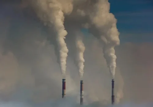 Queda no desmatamento faz Brasil registrar menor nível de emissões de gases em 8 anos em 2025