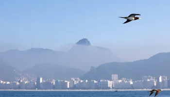 Rio de Janeiro atinge nível 2 do protocolo de calor com termômetros em 36°C