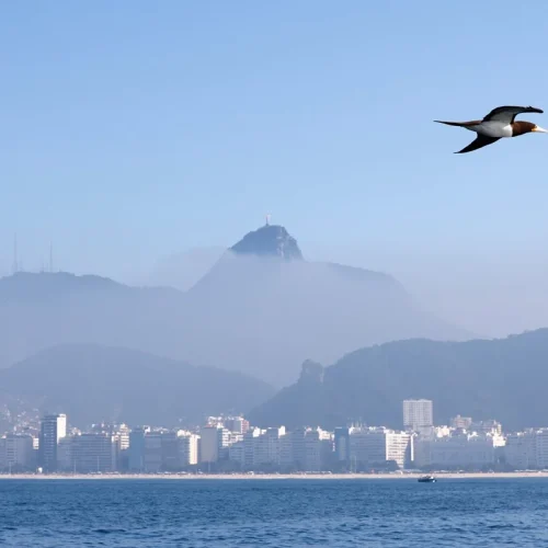 Rio de Janeiro atinge nível 2 do protocolo de calor com termômetros em 36°C