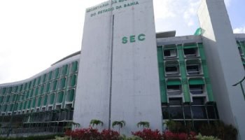Sec-ba chama 369 técnicos aprovados no Reda com orientações sobre posse e documentos
