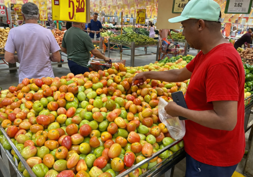 Tomate dispara 156% em Salvador e pressiona o custo da cesta básica