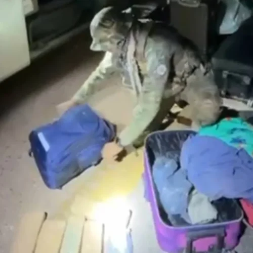 Tráfico de drogas é interceptado em ônibus interestadual no Distrito Federal
