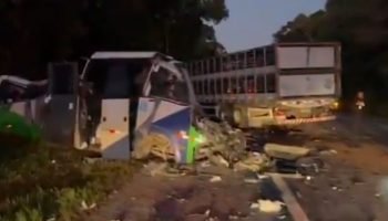 Tragédia na Br-373: colisão entre micro-ônibus e carreta deixa 23 mortos no Paraná