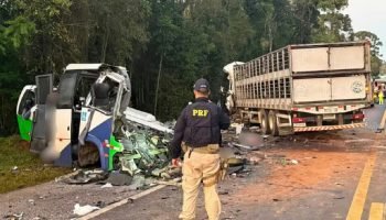 Tragédia na Br-373 deixa 22 mortos após colisão entre micro-ônibus e carreta no Paraná