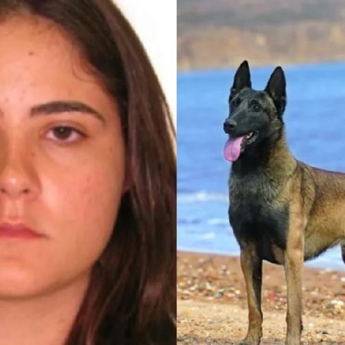 Veterinária atacada por cão no Senado Federal segue internada em estado grave